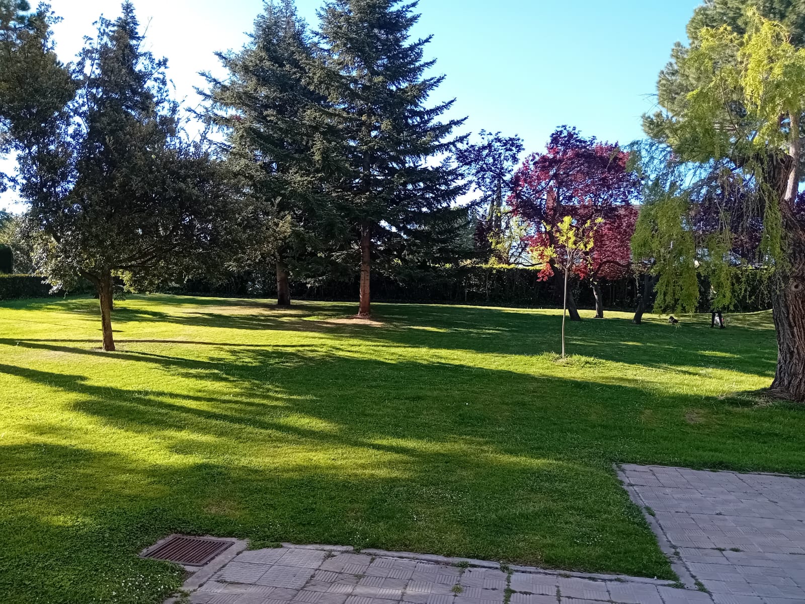 Fachada exterior de la Clínica Veterinaria Las Huertas