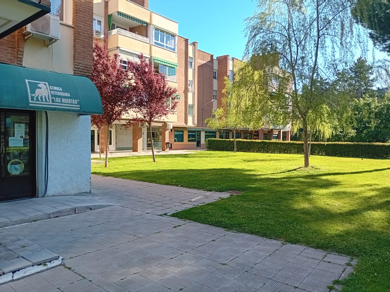 Interior de la Clínica Veterinaria Las Huertas
